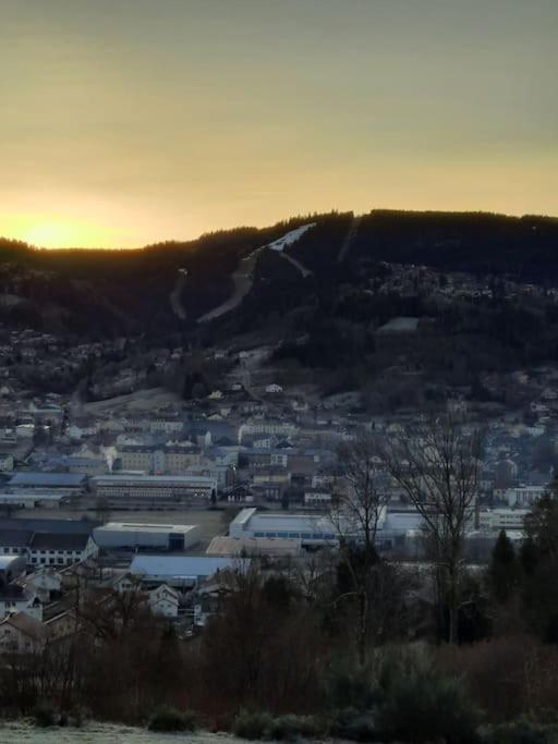 Appartement Residence Les Dryades Avec Vue Montagne Gérardmer Buitenkant foto